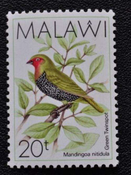 MALAWI - BIRD  - M/S
