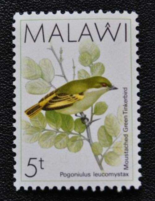 MALAWI - BIRD  - M/S