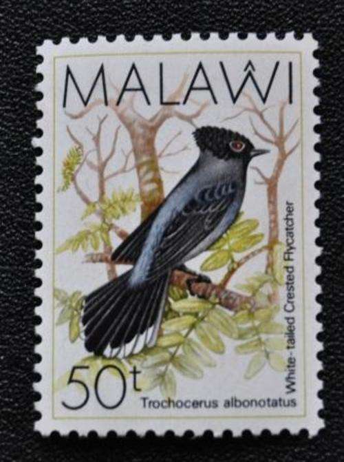 MALAWI - BIRD  - M/S