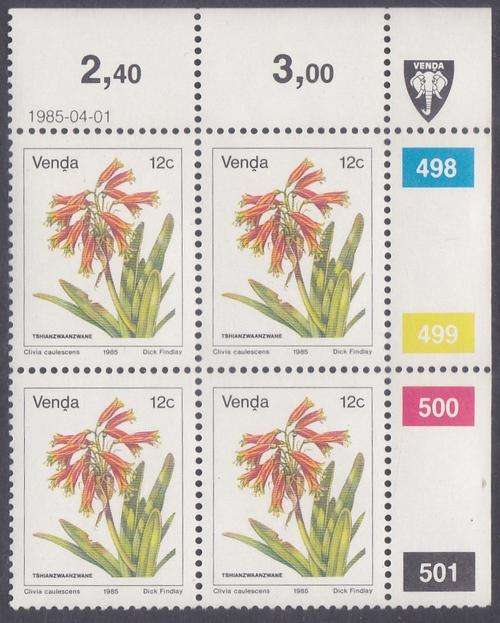 Venda-Clivia caulescens