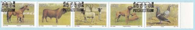 South Africa-Animal Breeding Fine Used