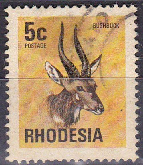 Rhodesia Bushbuck Fine Use