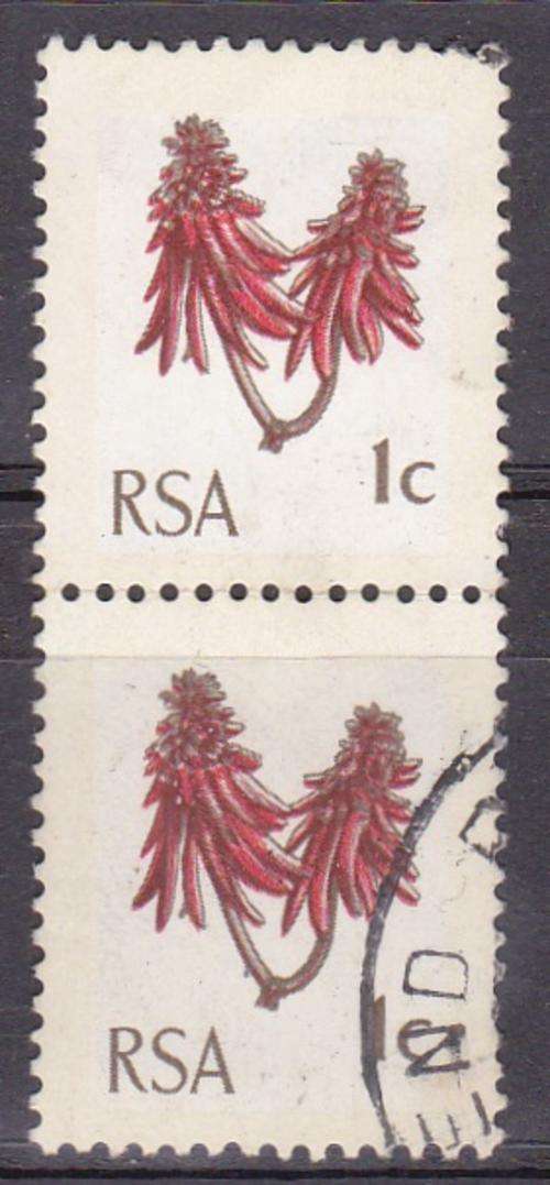 South Africa Coral Tree Fine Use