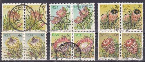 South Africa Proteas Fine Use