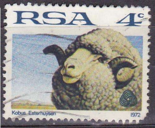 South Africa Rams Head Fine Use