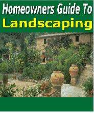Homeowners Guide to Landscaping