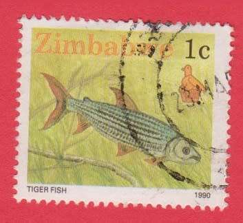 Zimbabwe Wildlife 1990