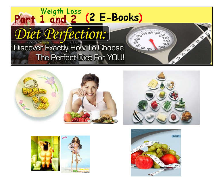 Diet Perfection Recipe Book