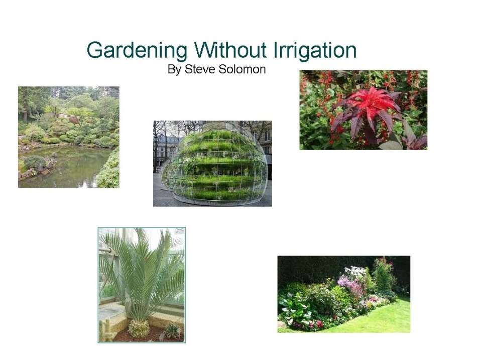 Gardening Without Irrigation