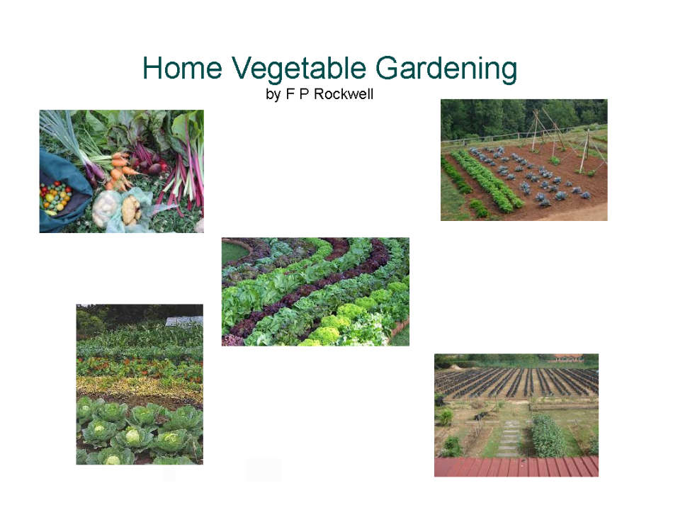 HOME VEGETABLE GARDENING