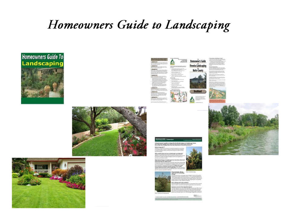 Homeowners Guide to Landscaping