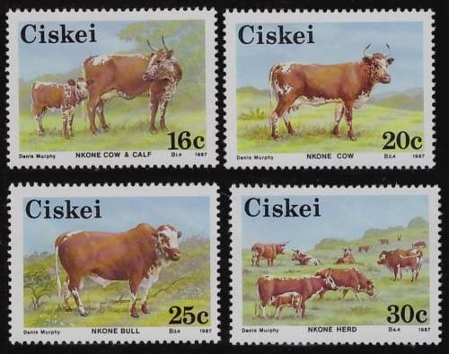 Ciskei -Nkone Cattle 1987