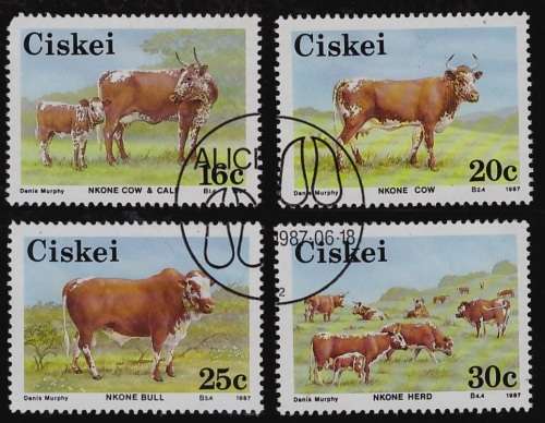 Ciskei -Nkone Cattle 1987