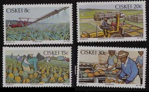 Ciskei -Pineapple Industry 1982