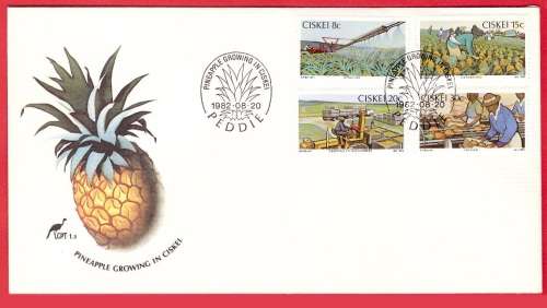 Ciskei - First Day Cover 1.3