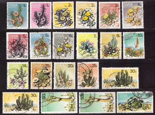 SWA -Desert Plant High CV