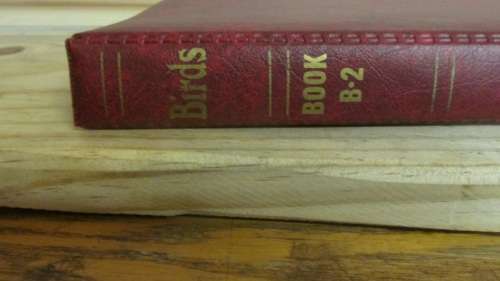 Birds Album Filed With Ciskei Birds Very High CV (Great Album)