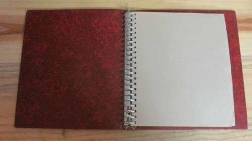 Birds Album Filed With Ciskei Birds Very High CV (Great Album)