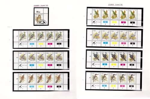 Birds Album Filed With Ciskei Birds Very High CV (Great Album)