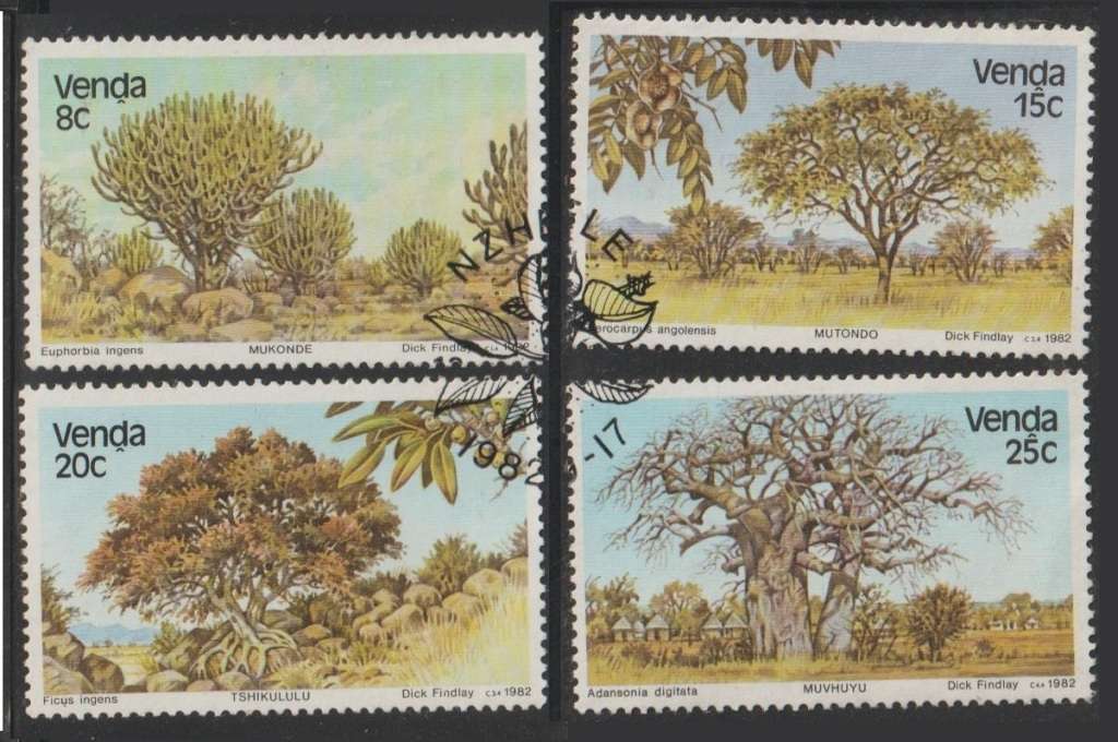 Venda Trees 1982 CV R45+