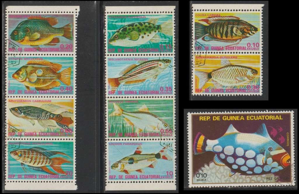 EQU Guinea Fish Great CV (Very Fine Used)