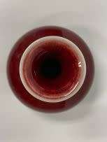 A Chinese red-glazed `sang de boeuf` vase