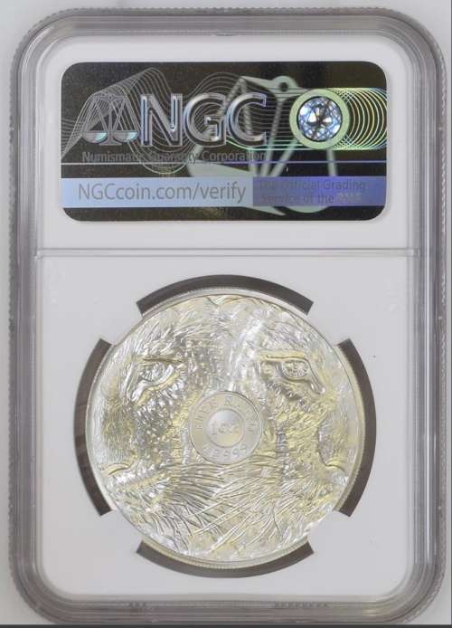 2020 SR5 Spotted Leopard NGC graded MS70