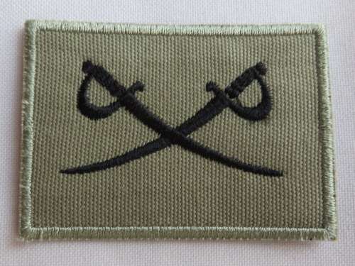 SANDF ASSISTANT PT INSTRUCTOR CLOTH PATCH