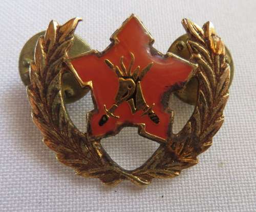 SA ARMY 5 YEARS RESERVE FORCE BREAST BADGE