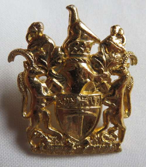RHODESIA RANK INSIGNIA WO CLASS 1 GILT-ANODISED- 2 LUGS