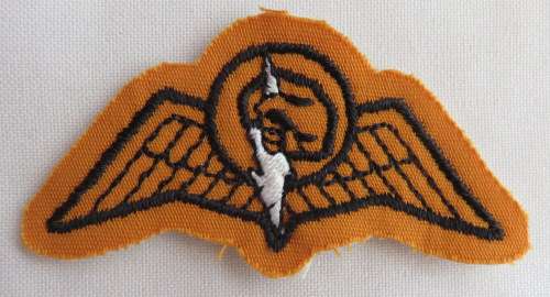 SA RAILWAY POLICE SPECIAL TASK FORCE PARA WING-2ND ISSUE ORIGINAL