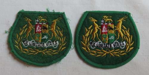 SA ARMY SERGEANT MAJOR RANK BADGE PAIR