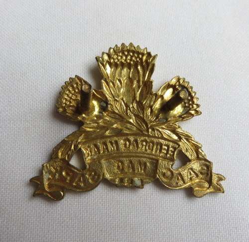 1 SPECIAL SERVICES BATTALION GILDING METAL CAP BADGE-1ST STRIKING- 2 LUGS