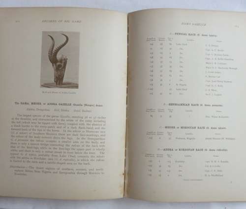 ROWLAND WARD'S-RECORDS OF BIG GAME-SEVENTH EDITION 1914-532 PAGES HARD COVER-SOME BROWNING OF PAGE-B