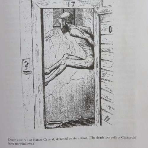 THE KEVIN WOODS STORY-FIRST EDITION PUBLISHED 2007-HARDCOVER WITH DUST COVER -304 PAGES-CONDITION LI