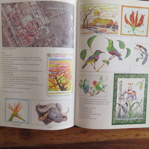 THE KEVIN WOODS STORY-FIRST EDITION PUBLISHED 2007-HARDCOVER WITH DUST COVER -304 PAGES-CONDITION LI