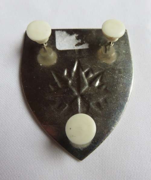 1 RECCE FLASH -ORIGINAL IVORY COLOURED- 3 PINS