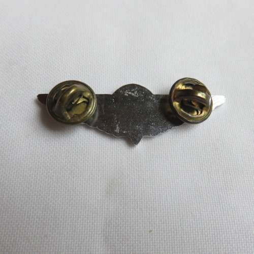 CISKEI PARA WING - 2 PINS