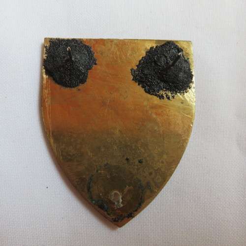 44 PARACHUTE BRIGADE ENGINEER SQUADRON FLASH- 2 PINS (REPLACED)