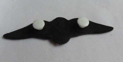 PILOT WINGS TUPPER 1986-1990'S- 2 PINS