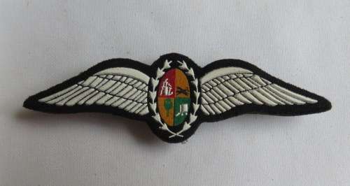 PILOT WINGS TUPPER 1986-1990'S- 2 PINS