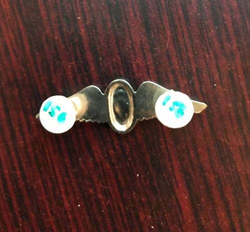 SA PARACHUTE INSTRUCTOR CHROME & ENAMEL MESS DRESS WING-WORN FROM 1970'S-2 PINS