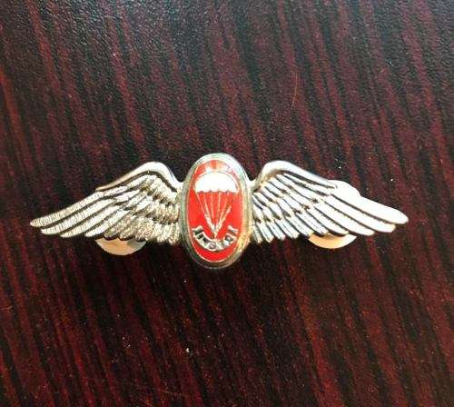 SA PARACHUTE INSTRUCTOR CHROME & ENAMEL MESS DRESS WING-WORN FROM 1970'S-2 PINS