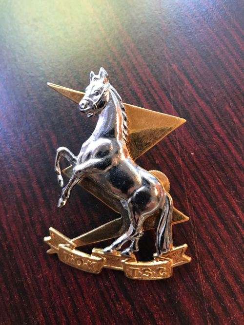 TECHNICAL SERVICES CORPS-BI METAL CAP BADGE -WORN SINCE 1940-LUGS COMPLETE