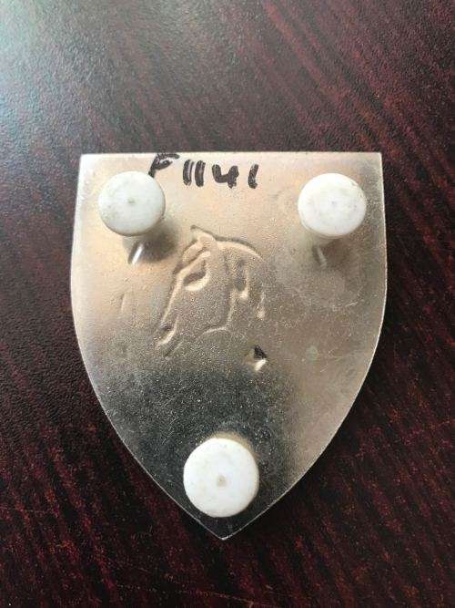 SADF EQUESTRIAN CENTRE FLASH-3 PINS