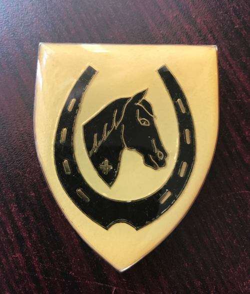 SADF EQUESTRIAN CENTRE FLASH-3 PINS