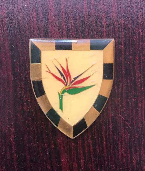 6 SA INFANTRY FLASH-NO PINS