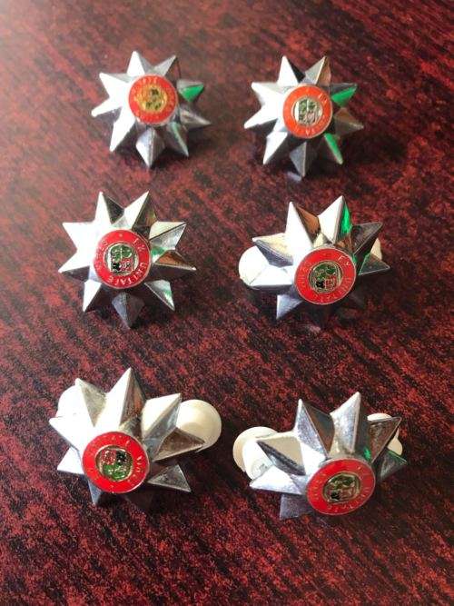 SA ARMY 9 POINT RANKS-WORN 1996-2002-6X LARGE-CHROME-PINS INTACT