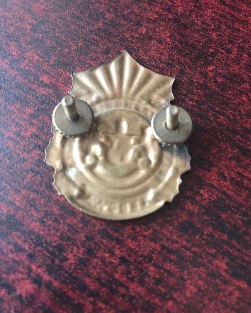 LEBOWA POLICE ,UNVOIDED CAP BADGE-2 LUGS