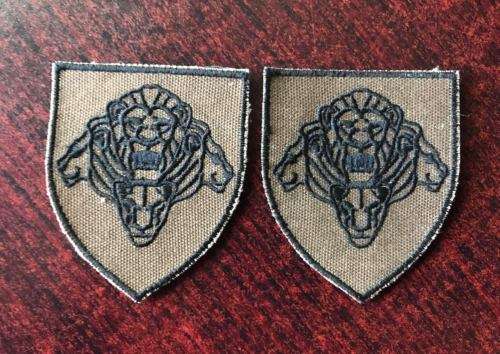 SANDF CLOTH ARM FLASH PAIR